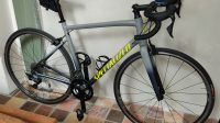 Specialized Allez Elite 2020 racefiets maat 56
