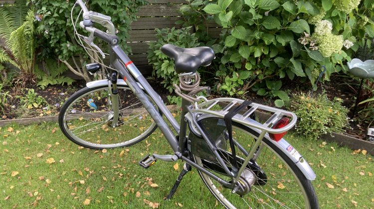 damesfiets Giant Cosmo CS2, light series