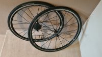 Specialized Tarmac 54