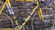 Bartali Reparto Corse 1950