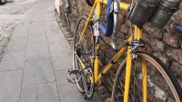 Bartali Reparto Corse 1950