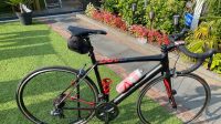 Focus Cayo Ultegra D12 22G Mt. 54