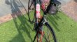 Focus Cayo Ultegra D12 22G Mt. 54