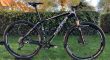 Sensa Fiori TNT Pro