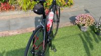 Focus Cayo Ultegra D12 22G Mt. 54