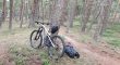 Canyon Strive CF 9 Team 2019/2020 (Pro full spec) Nog met fabrieksgarantie!