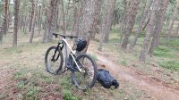 Canyon Strive CF 9 Team 2019/2020 (Pro full spec) Nog met fabrieksgarantie!