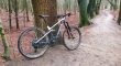 Canyon Strive CF 9 Team 2019/2020 (Pro full spec) Nog met fabrieksgarantie!