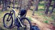 Canyon Strive CF 9 Team 2019/2020 (Pro full spec) Nog met fabrieksgarantie!