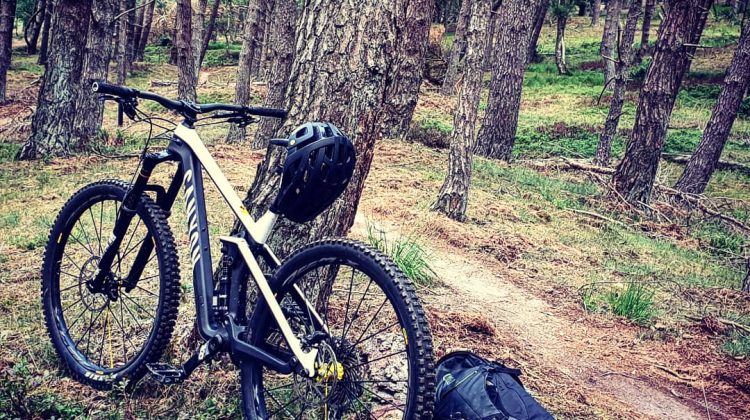 Canyon Strive CF 9 Team 2019/2020 (Pro full spec) Nog met fabrieksgarantie!
