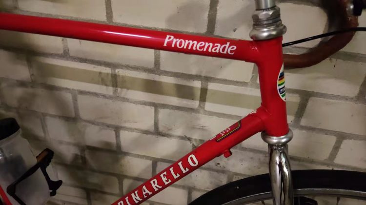 Pinarello single speed 52×17 met veel extra’s
