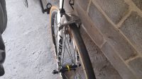 Full carbon Ridley fenix