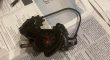 Campagnolo super record volledige groupset EPS 11 speed