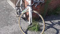 Full carbon Ridley fenix