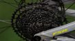 Tweedehands/Vernieuwd MTB Specialized Stumpjumper