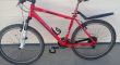 Mtb bulls