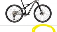 Cannondale Scalpel 3 Carbon Lefty