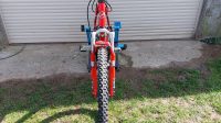 Mountainbike Giant Yukon i.z.g.s.t.