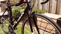 Trek Domane AL3 2018