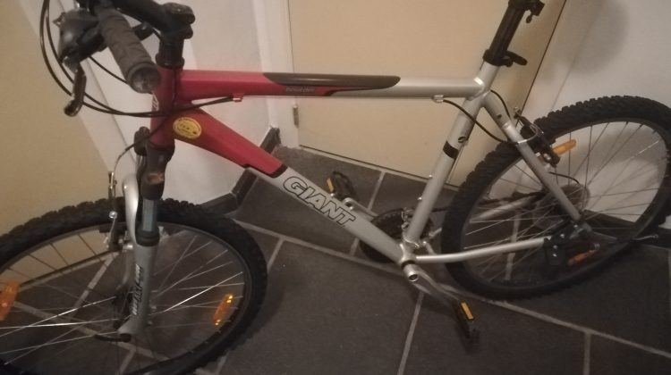 Giant mountain bike
