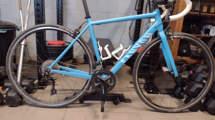 Canyon Endurace WMN AL 7.0 2020