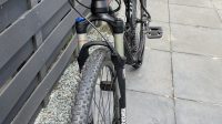Apex Envy 29er aluminium