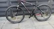 Apex Envy 29er aluminium