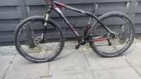 Apex Envy 29er aluminium
