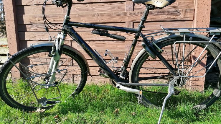Koga Globe Traveller