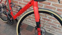 RACEFIETS CARBON GUERCIOTTI