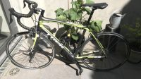 Trek Domane 4.1 Carbon (2016)