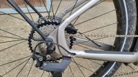 Trek Stagger e-bike
