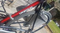 Sportivo racefiets