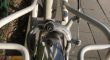 Retro fiets Novy opgeknapt