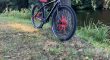 Wheelie Bike Collective C2 met veel (rode) accessoires. ZGAN