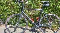 Storck racefiets, alluvium frame, 59 cm