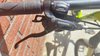 Cannondale trail 4
