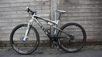Bulls Wild Edge CF 29 Inch