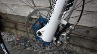 Bulls Wild Edge CF 29 Inch