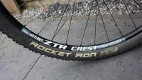 Bulls Wild Edge CF 29 Inch