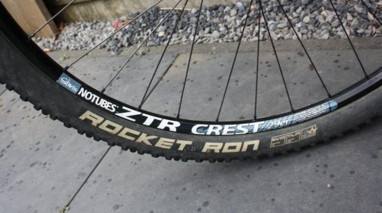 Bulls Wild Edge CF 29 Inch