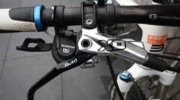Bulls Wild Edge CF 29 Inch