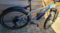 MTB Niner