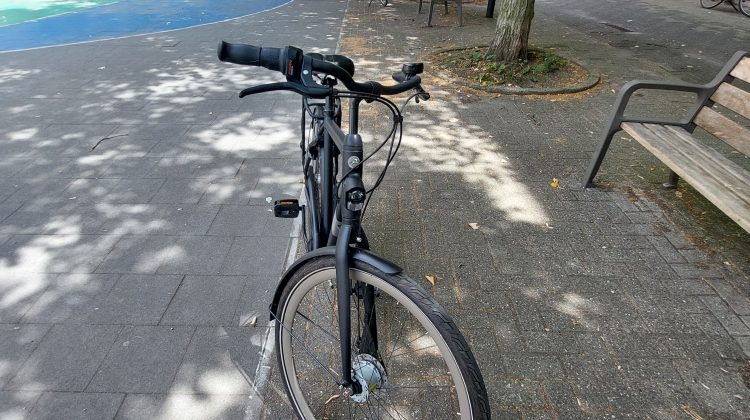 Gazelle Esprit T7 mat zwart maat 54