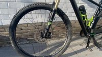 Cube ltd sl blackline 19”