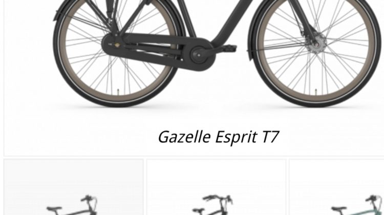 Gazelle Esprit T7 mat zwart maat 54