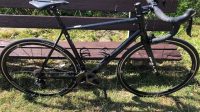 Bulls Harrier 2 (mei 2020)