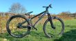 Dirt jumper 1 rose