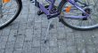 Dames Mountainbike