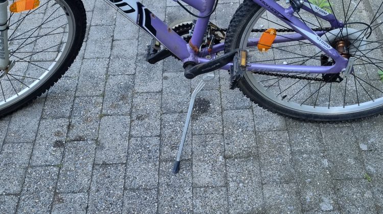 Dames Mountainbike